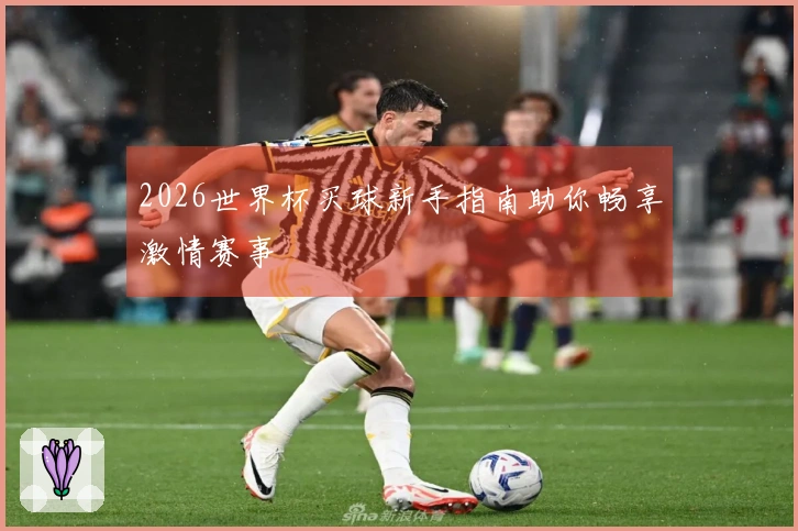 2026世界杯买球新手指南助你畅享激情赛事