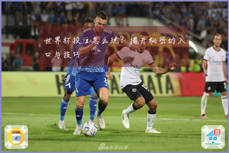 世界杯投注怎么玩？揭开秘密的入口与技巧