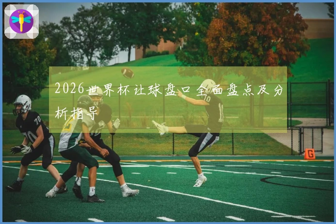 2026世界杯让球盘口全面盘点及分析指导