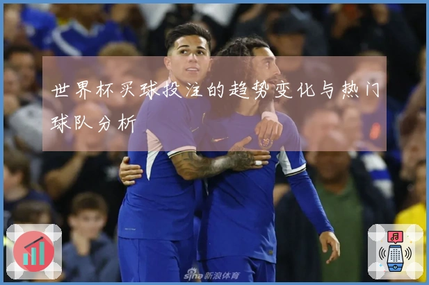 世界杯买球投注的趋势变化与热门球队分析