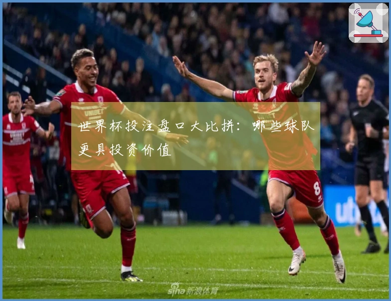 世界杯投注盘口大比拼：哪些球队更具投资价值