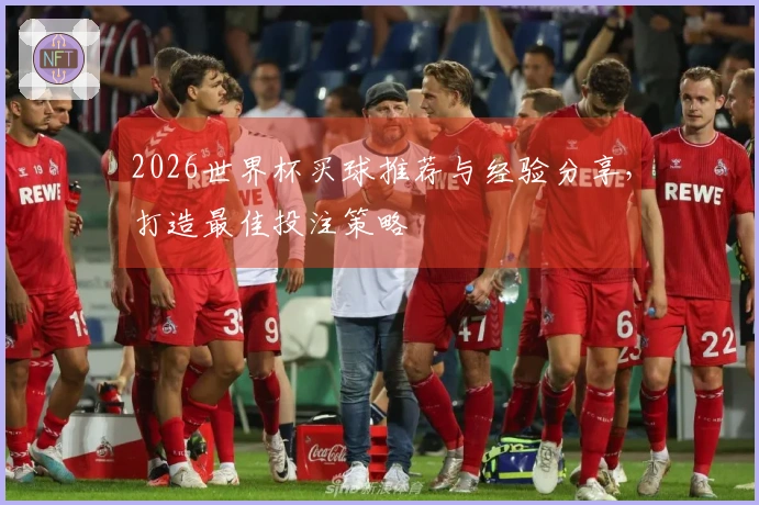 2026世界杯买球推荐与经验分享，打造最佳投注策略