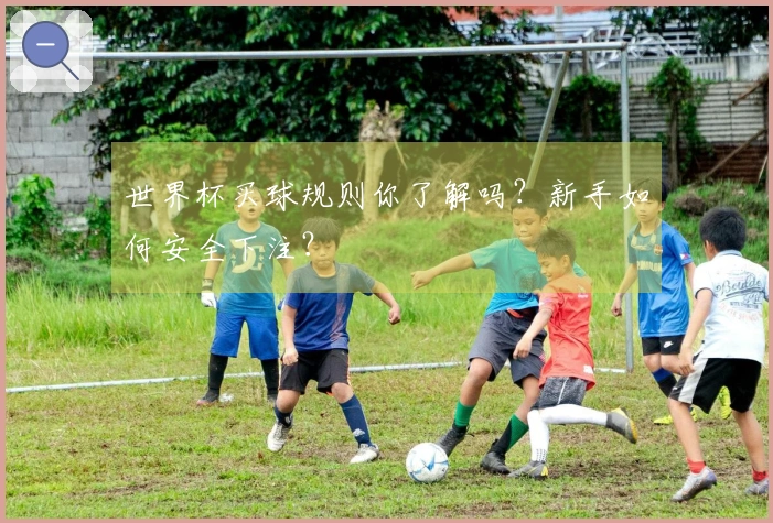 世界杯买球规则你了解吗？新手如何安全下注？