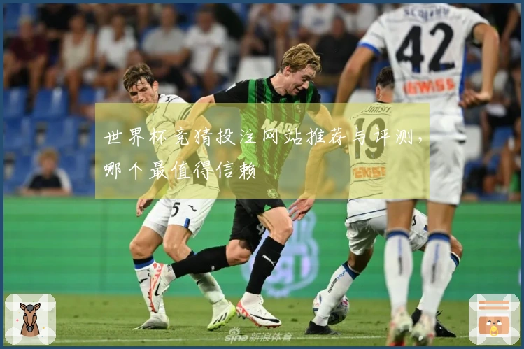 世界杯竞猜投注网站推荐与评测，哪个最值得信赖