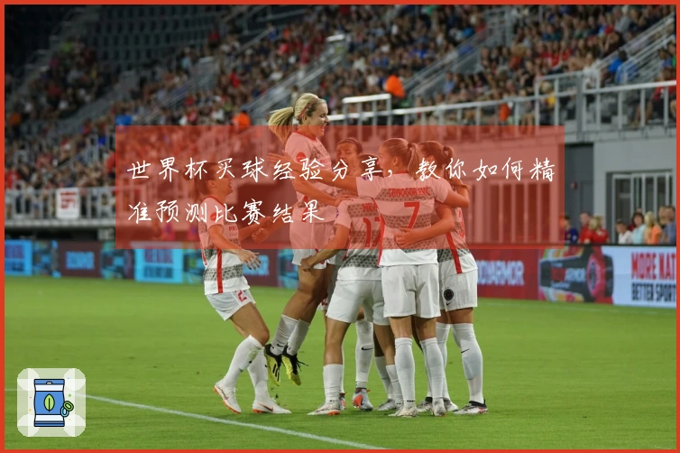 世界杯买球经验分享，教你如何精准预测比赛结果