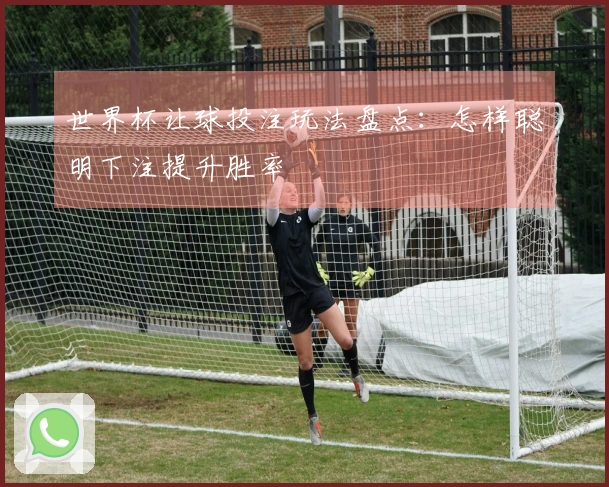 世界杯让球投注玩法盘点：怎样聪明下注提升胜率