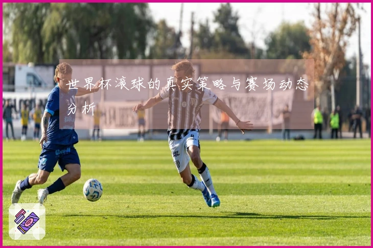 世界杯滚球的真实策略与赛场动态分析