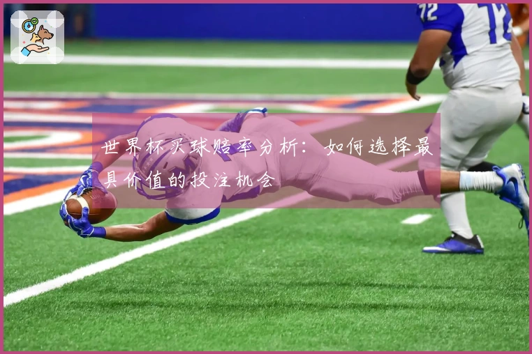 世界杯买球赔率分析：如何选择最具价值的投注机会