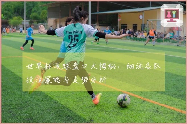 世界杯滚球盘口大揭秘，细说各队投注策略与走势分析