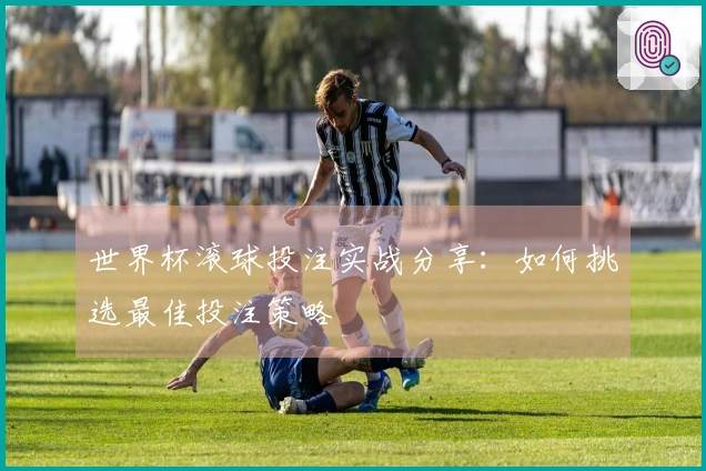 世界杯滚球投注实战分享：如何挑选最佳投注策略