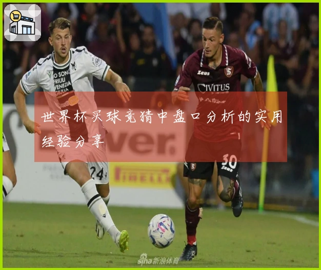 世界杯买球竞猜中盘口分析的实用经验分享