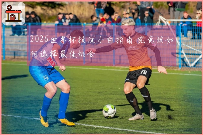 2026世界杯投注小白指南 究竟该如何选择最佳机会