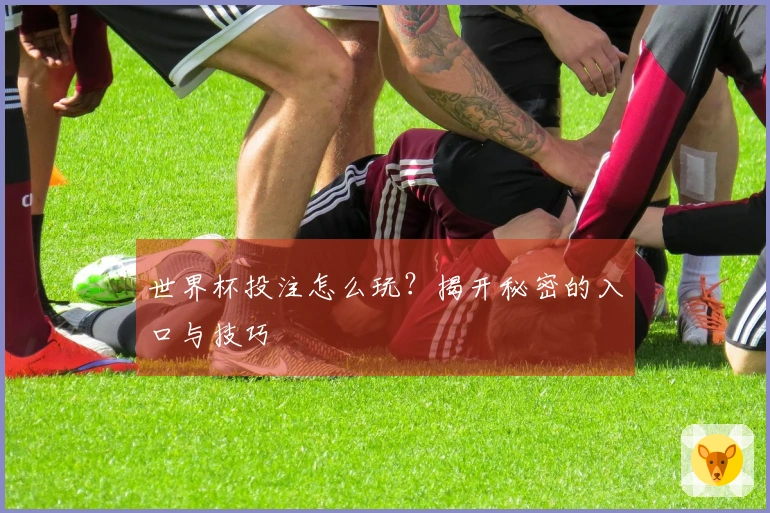 世界杯投注怎么玩？揭开秘密的入口与技巧