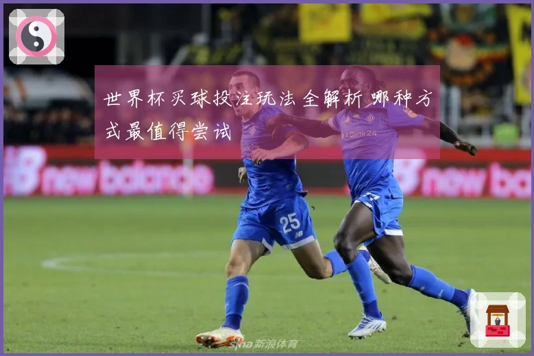 世界杯买球投注玩法全解析 哪种方式最值得尝试