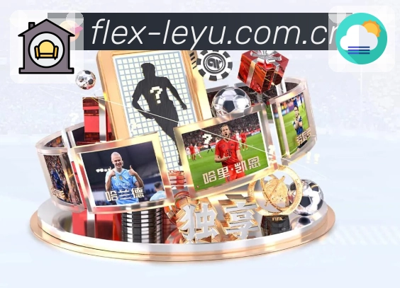 <strong>leyu</strong>App 复盘二维码